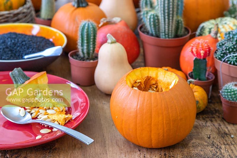 Table top with hollowed out pumpkin surrounded by pumpkins, squash and cacti