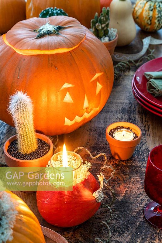 Autumnal Halloween table display with carved pumpkin, squashes, potted cacti and candles