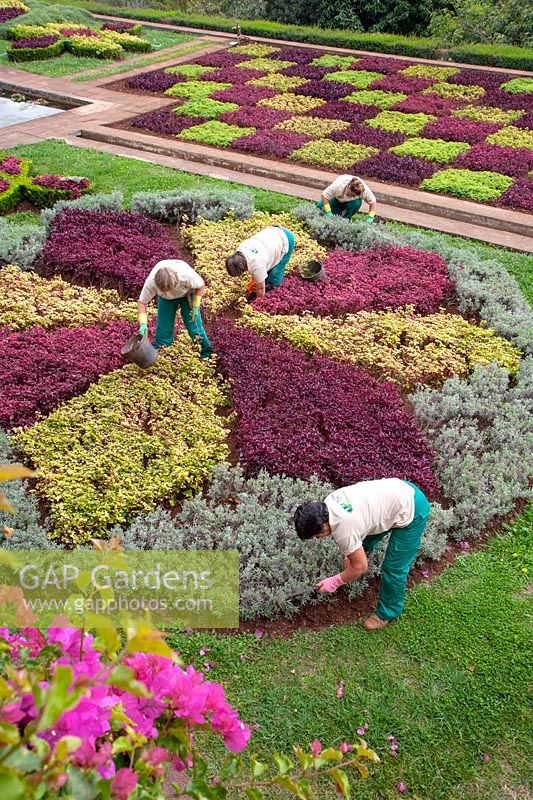 Gardeners working Jardim Botanico Gardens - Botanical Garden, Funchal, Madeira