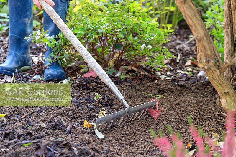 Woman using rake to level soil prior to building a hedgehog house