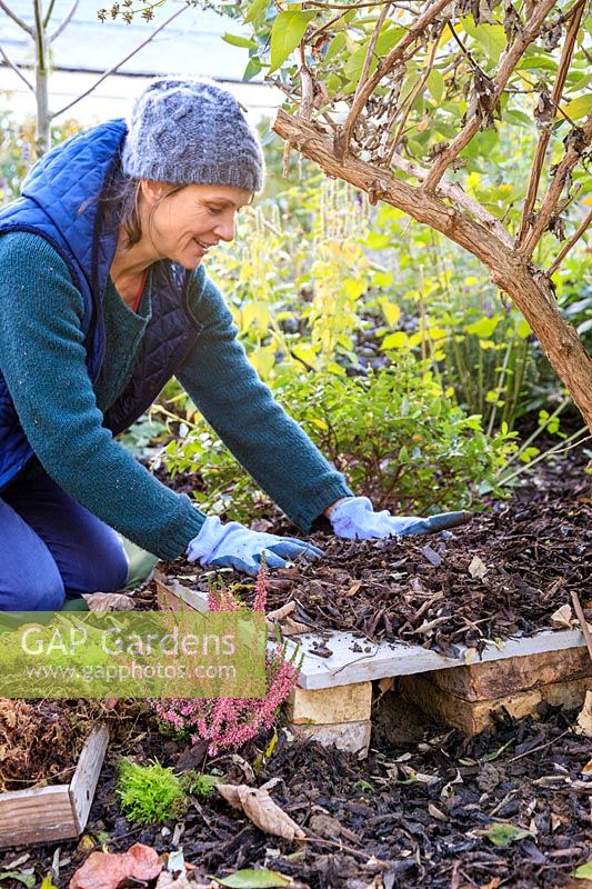 Woman adding bark and wood chipping to disguise roof of hedgehog house. 