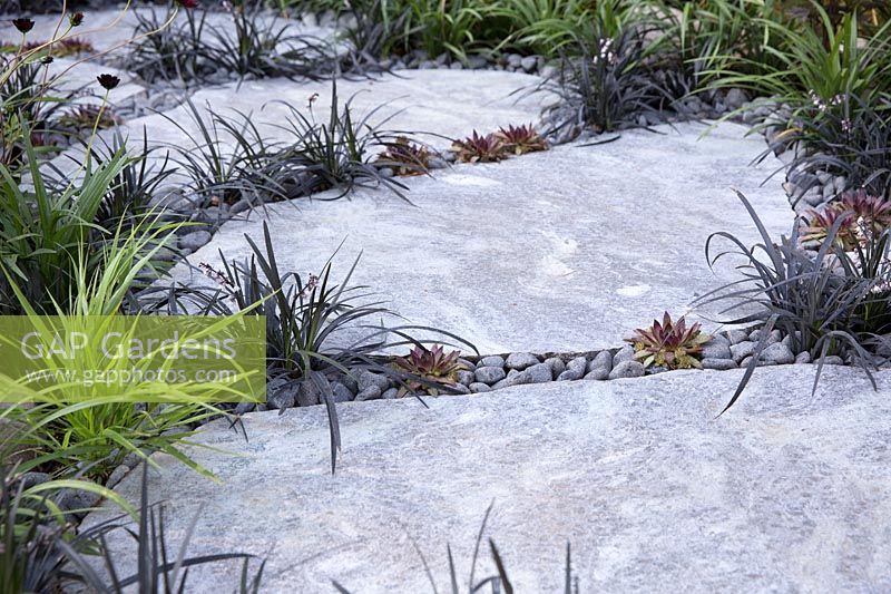 Stone garden pathway with Ophiopogon planiscapus in the Elements Mystique Garden, designed by Elements Garden Design, Hampton Court Flower Show, 2018.
