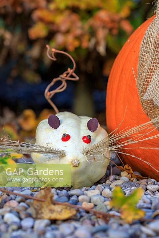 Pumpkin mouse made with Pumpkin Swan White with ornamental grass whiskers, rose hip eyes , Berberis ears and twisted Hazel tail.