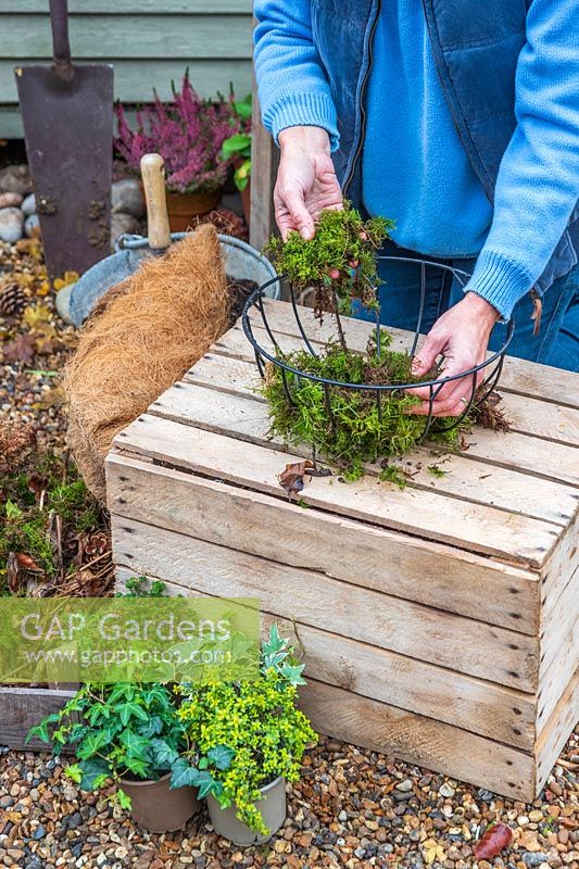 Woman lining the top basket with fresh moss. 