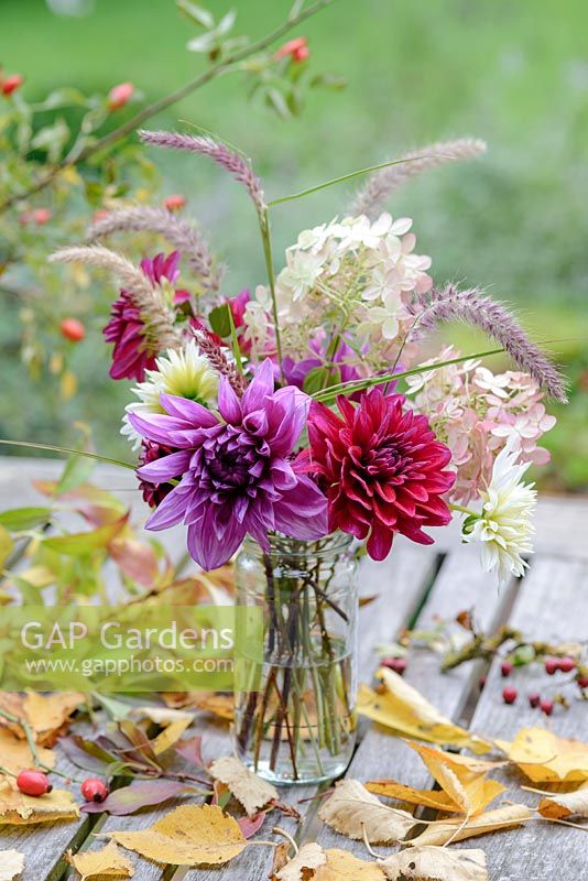 Autumn posie with Dahlias, Hydrangea paniculata and Fountain Grass - Pennisetum alopecuroides 'Hameln' in a glass jar with Birch leaves and hips