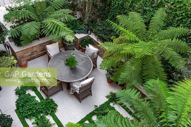 Bird's-eye view of enclosed courtyard with outdoor dining area. Green and white colour scheme with Dicksonia antarctica - Tree Fern, between paving ferns and Soleirolia soleirolii syn. Helxine soleirolii - Mind-your-own-business