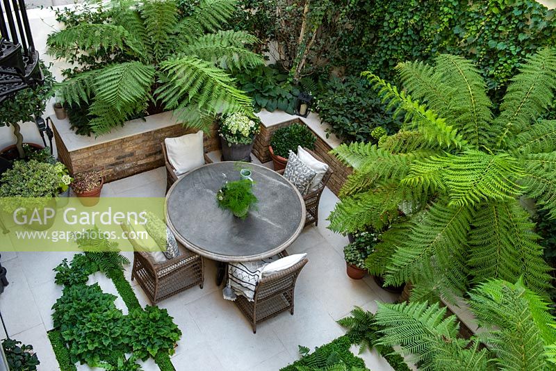 Bird's-eye view of enclosed courtyard with outdoor dining. Green and whilte colour scheme with Dicksonia antarctica - Tree Fern, between paving, ferns, Tiarella and Soleirolia soleirolii syn. Helxine soleirolii - Mind-your-own-business