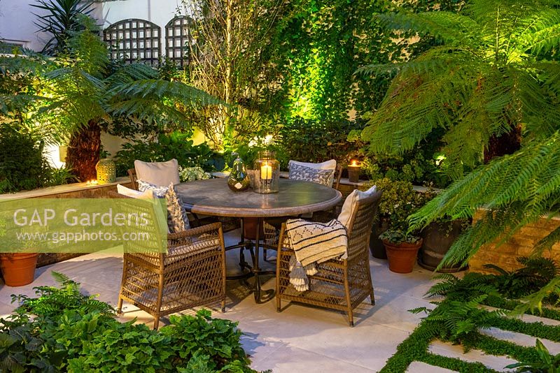 A walled courtyard with outdoor dining area lit at night, illuminating Dicksonia antarctica - Tree Fern, Hydrangea and Hosta in raised beds