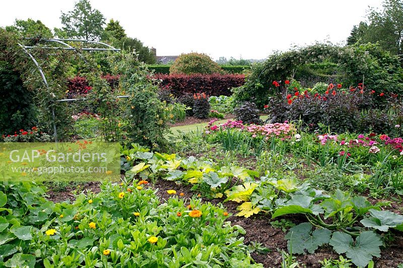 Over view of vegetable garden with rows of vegetables and flowers for cutting, plus arches with soft fruit 