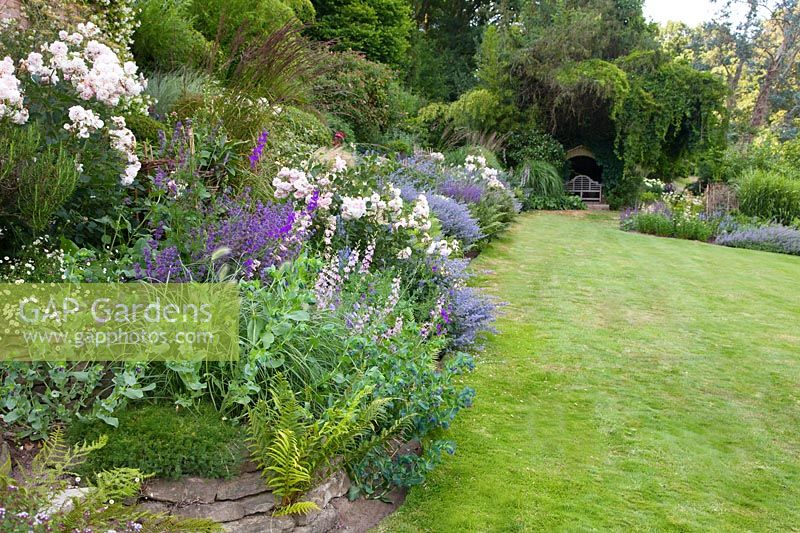 This long and inclined bed has been planted in a palette of pink with Rosa 'Felicia' as well as annual larkspur, pale blue with Nepeta 'Six Hills Giant', and purple with Salvia verticillata 'Purple Rain' and Cerinthe major 'Purpurascens'