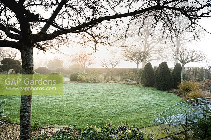 Circular lawn surrounded by borders, clipped yews and Crataegus x lavalleei 'Carrierei' on a misty March morning