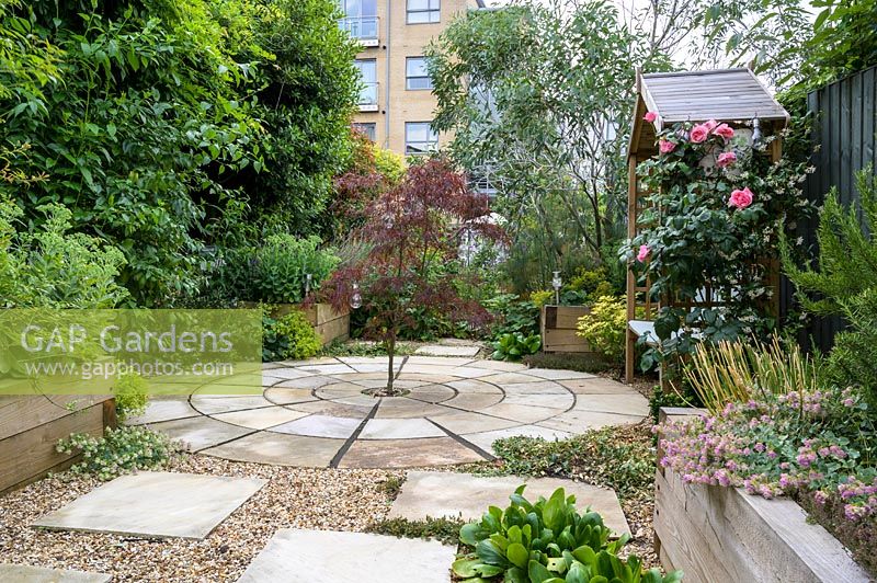 Circular paving with centrally planted Acer - Maple - in an urban garden 