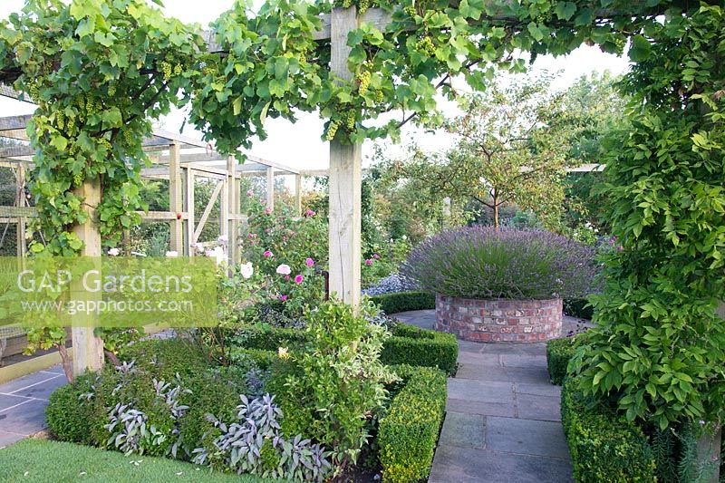 Potager with clipped box-edged beds of herbs Rosa Wisteria Vitis and Malus