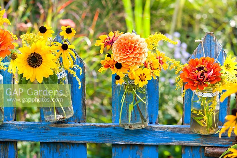 Orange - yellow summer flowers in glass jars attached to a blue wooden fence - tagetes, dahlia, zinnia, sunflower, solidago and rudbeckia.