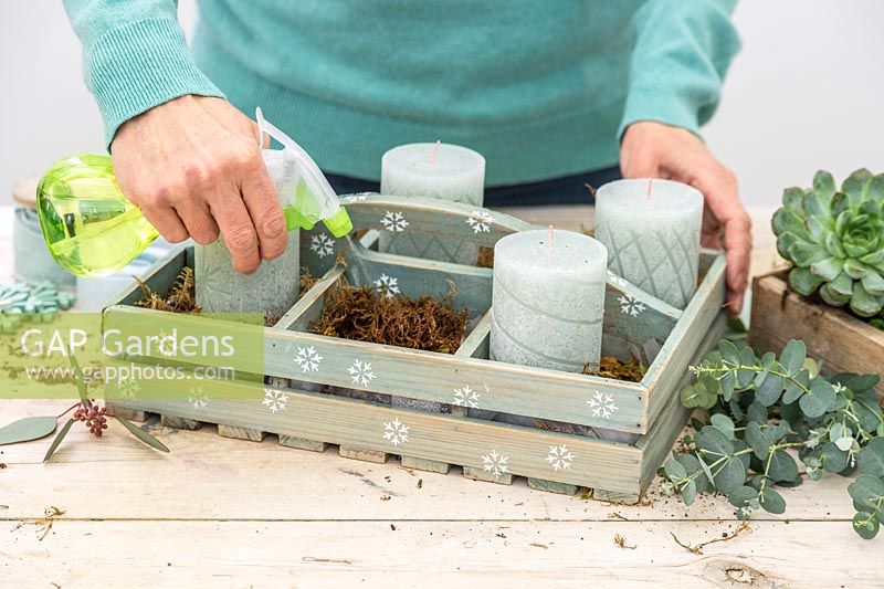 Woman spraying the moss to add dampness