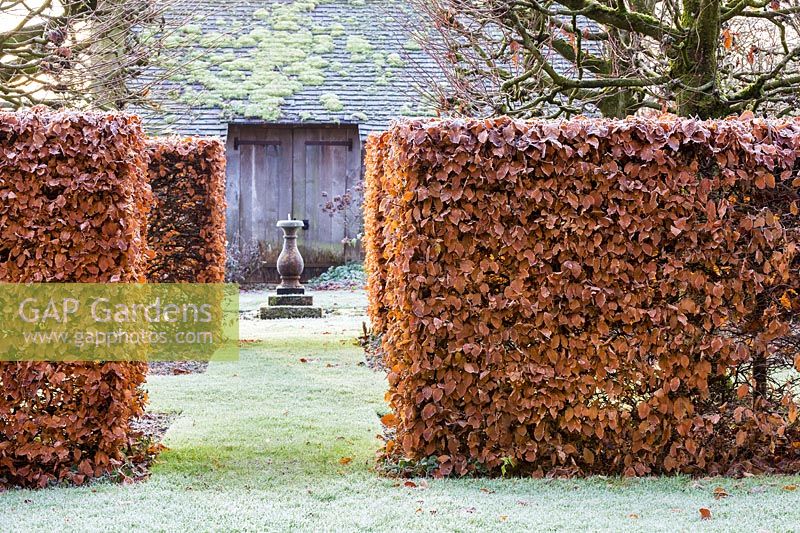 View across the Font Garden and Lime Allee to the Sundial Garden at Wollerton Old Hall Garden, Shropshire. Planting includes: a beech hedge 'Fagus' and non-suckering limes, Tilia platyphyllos 'Rubra'