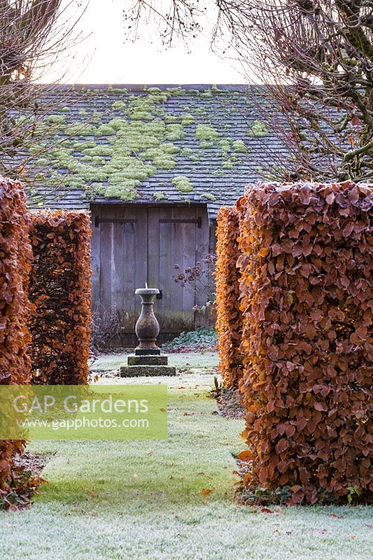 View across the Font Garden and Lime Allee to the Sundial Garden at Wollerton Old Hall Garden, Shropshire - Planting includes: a beech hedge 'Fagus and non-suckering limes, Tilia platyphyllos 'Rubra'