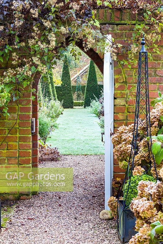 View through the Courtyard Garden gate to The Yew Walk at Wollerton Old Hall Garden, Shropshire - Planted above the gate is Clematis rehderiana