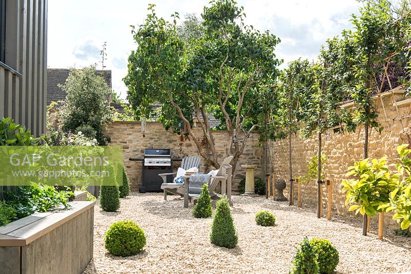 Courtyard gravel garden with evergreen topiary and adirondack chairs