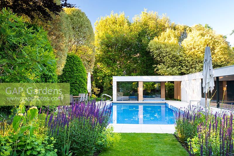 View across the borders with Salvia nemorosa 'Caradonna', Phlomis russeliana to swimming pool, jacuzzi and sauna.