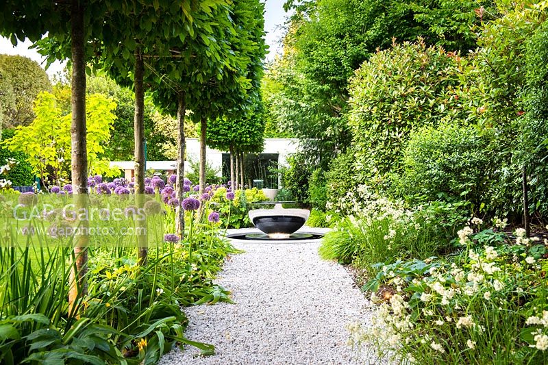 View of gravel path leading to David Harber water feature, surrounded by a row of box-headed pleached Carpinus betulus - hornbeams, Allium 'Globemaster' and Luzula nivea.