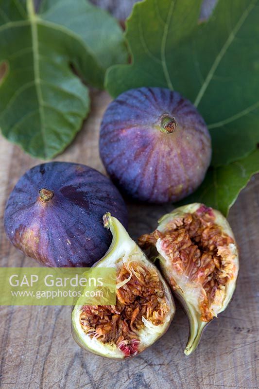 Ripe figs with leaves