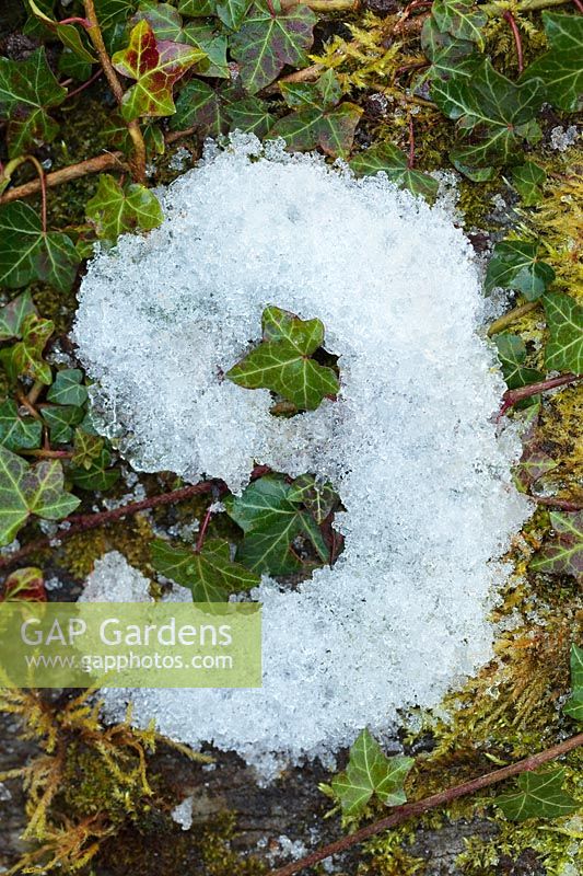 Gardening Alphabet Letter g spelt out with frost and ice 