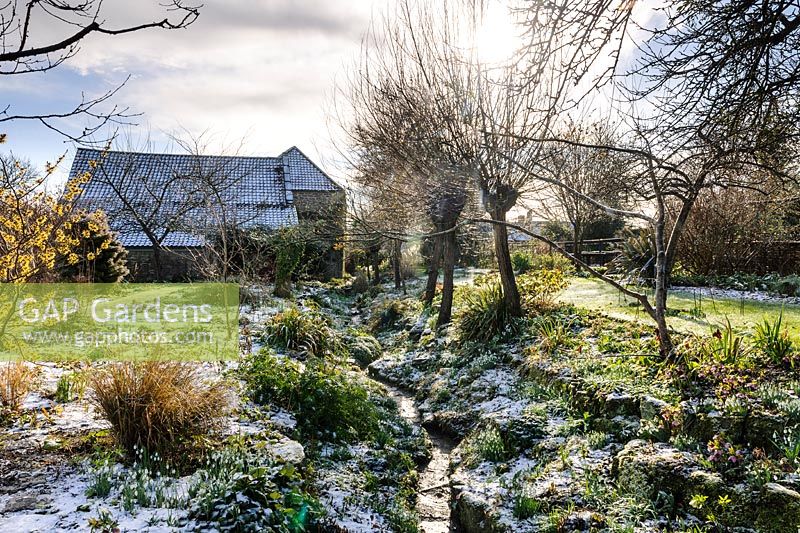 General views of country garden carpeted with Galanthus - Snowdrop - in snow