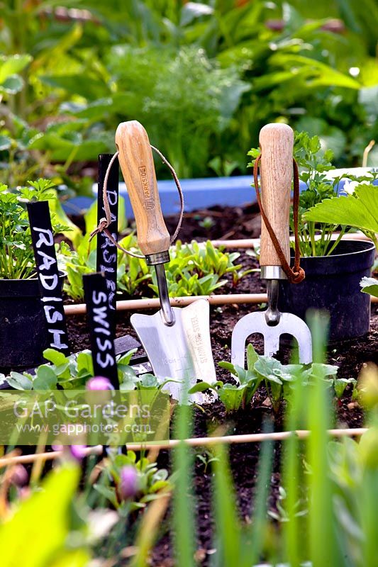 Garden tools for planting vegetable seedlings.