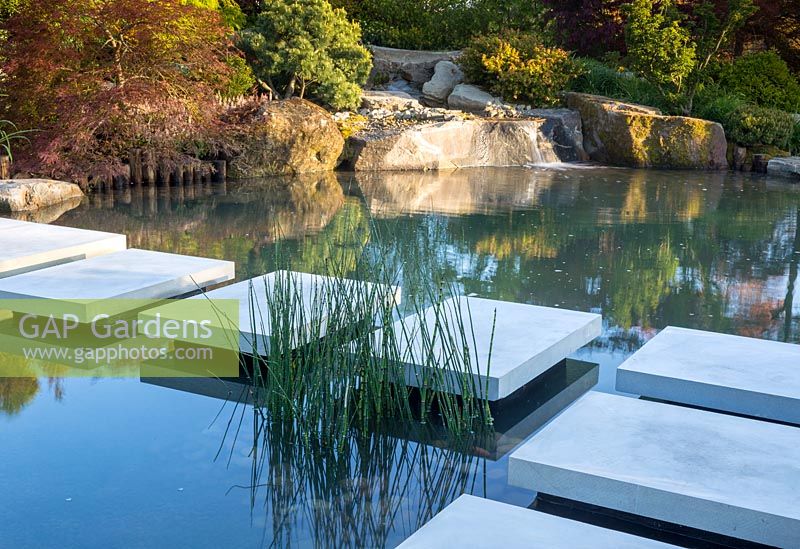 Floating stone stepping stones over a pond with Equisetum hyemale, waterfall over large boulders. A Japanese Reflection Garden 