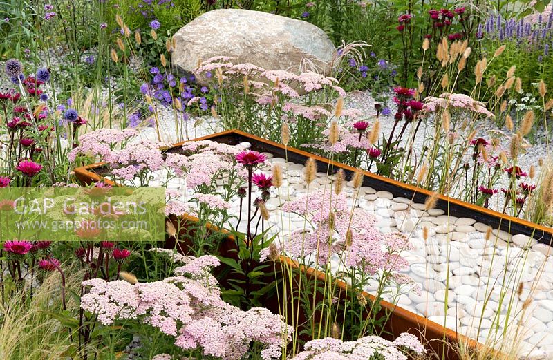 Achillea Corten steel water trough water feature filled with white pebbles. Business and Pleasure Garden, RHS Tatton Park Flower Show, 2017. Designer: Jake Curley
