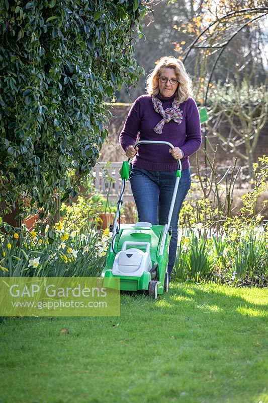 First mowing of the lawn in early spring using a rechargeable battery mower