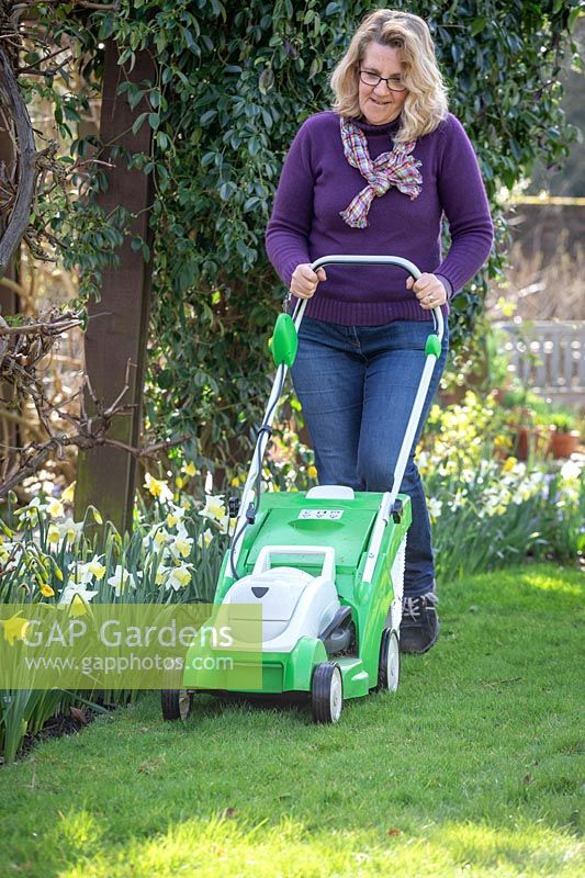 First mowing of the lawn in early spring using a rechargeable battery mower