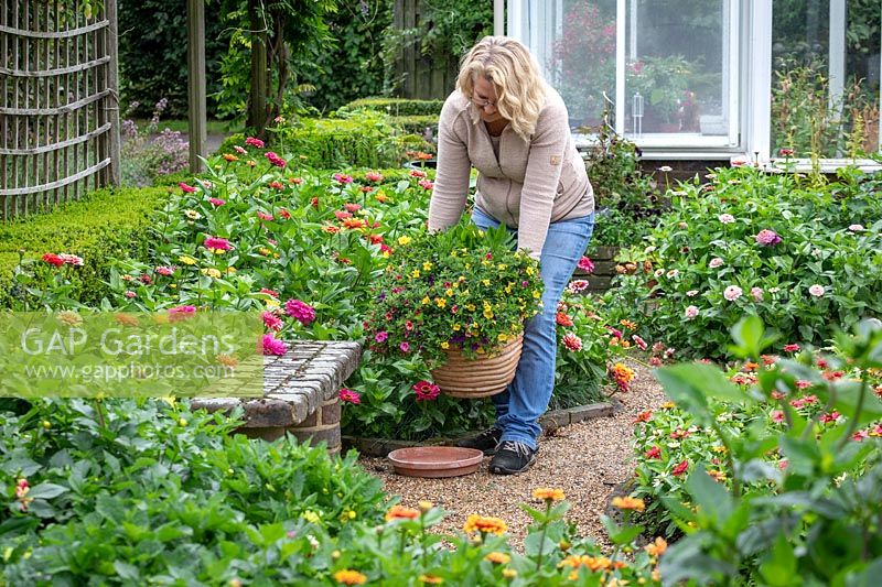 Putting a patio pot in a saucer to help with watering when going on holiday