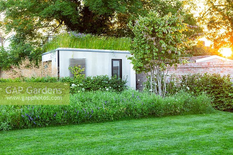 A modern garden room behind a Hornbeam hedge and wildflower border including wild carrot and purple vetch.