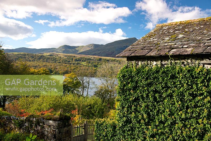 A view over Coniston Water and surrounding fells in autumn from Brantwood Gardens, Coniston, Cumbria, UK