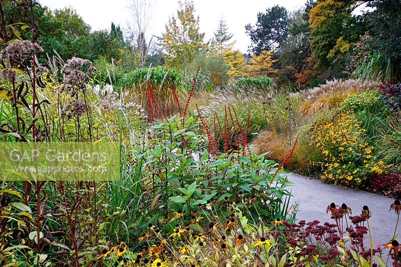 Autumnal colours of perennials and mixed grasses at Birmingham Botanical Gardens and Glasshouses, October