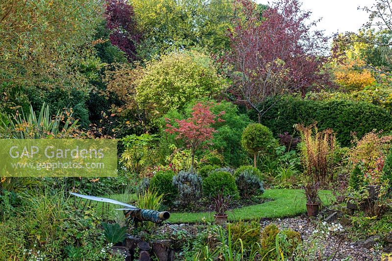 A small garden room, enclosed in yew hedges and trees, with a circular bed cut out of the lawn, and planted with alternating lavender and box balls, grouped round a red-leaved acer.