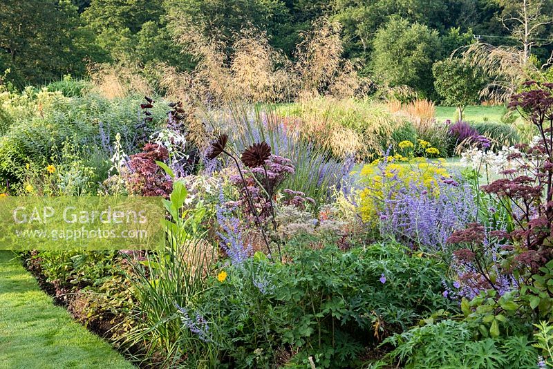 Rusty metal flower sculptures rest in a border of Russian sage, tobacco plants, purple angelica and Stipa gigantea.