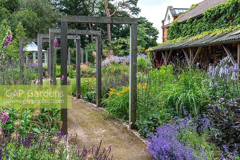 A contemporary lower garden with a path leading beneath a pergola made up of eight standalone oak frames that frame views over the borders of Aconites, Daylilies, Dahlias, Geum, Sea hollies, Catmint, Campanulas, Salvias and Verbenas.