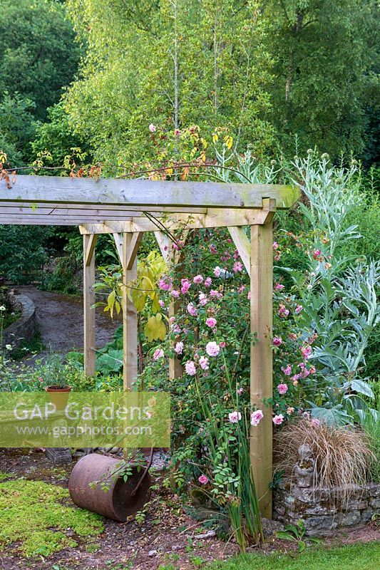 Rose covered pergola with lawn roller in a cottage garden