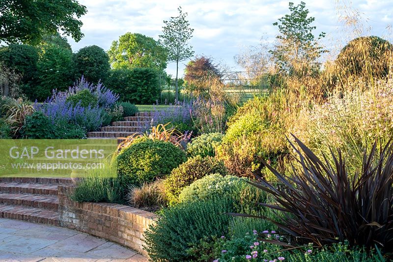 Steps leading up from terrace, mixed planting on slope includes: Phormium 'Bronze Baby' and Erigeron Sea Breeze'