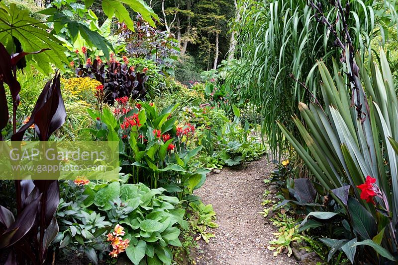 View of a path through a garden which is situated in a steep-sided valley, with its own sheltered microclimate which permits tender exotic plants to flourish. 
