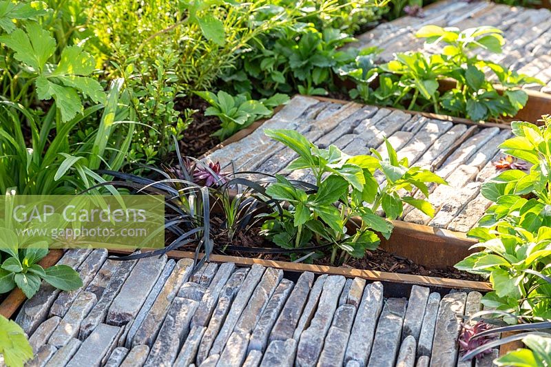 Stepping stones, made from corten steel filled with pieces of natural stone, path curves through low growing plants. Through Your Eyes Garden.