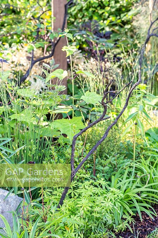 Burnt wood used to give structure to border. Through Your Eyes Garden.