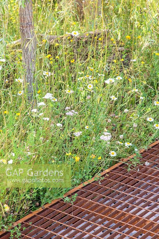 Metal grid filled with pebbles to aid water retention with wild border behind. The Thames Water Flourishing Future Garden - Hampton Court Flower Festival 2019