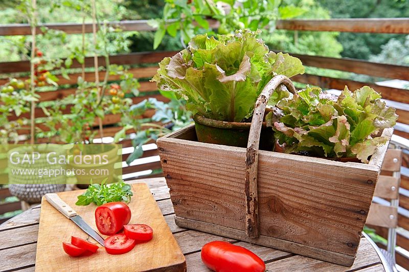 Still life with lettuce, tomatoes and chopping board on table on balcony. 

