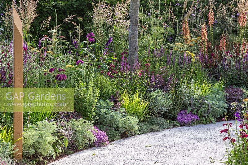 Compacted path in front of a colourful bed of summer flowering perennials with inscribed wooden post. The Cancer Research UK Pledge Pathway to Progress - Hampton Court Flower Festival, 2019. 