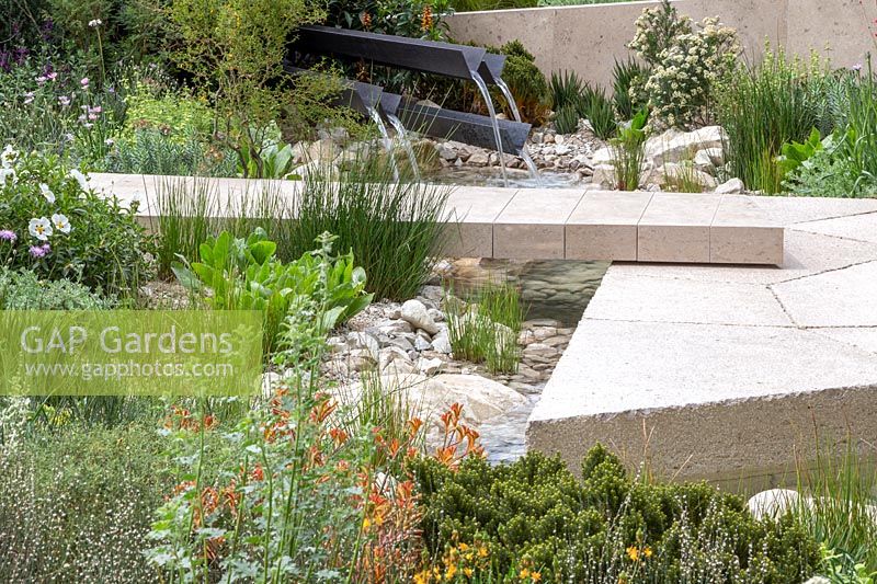 View of a water feature and limestone path over the stream with marginal plants including Juncus effusus.  The Telegraph Garden. RHS Chelsea Flower Show, 2016. Designer: Andy Sturgeon FSGD, Sponsor: The Telegraph.
