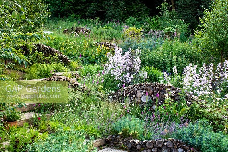 Wooden steps with insect and wildlife friendly log walls set within naturalistic borders planted with perennials.